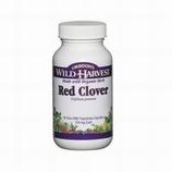 Organic Red Clover