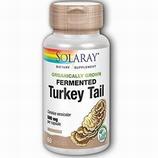 Turkey Tail Fermented Mushroom