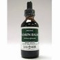 Lemon Balm