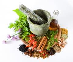Herbs for Overactive Bladder